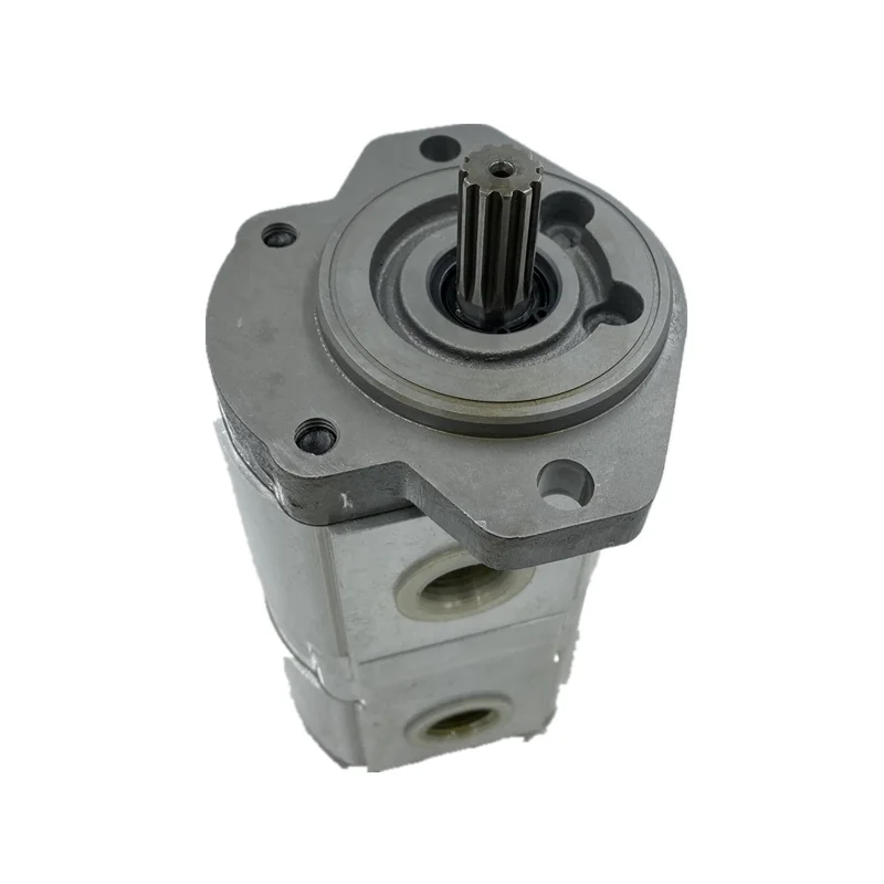 PLP PLP20 SERIES PLP20.14DQ-82E2LGE/GD-NEI21/02 Gear Oil Pump PLM PLP PLP30 PLP20 PLP10
