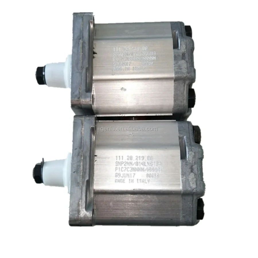 Hydraulic Gear Pump SNP SNP2NN SNP2NN/025RN06SAP1E6E5NNNN/NNNNN