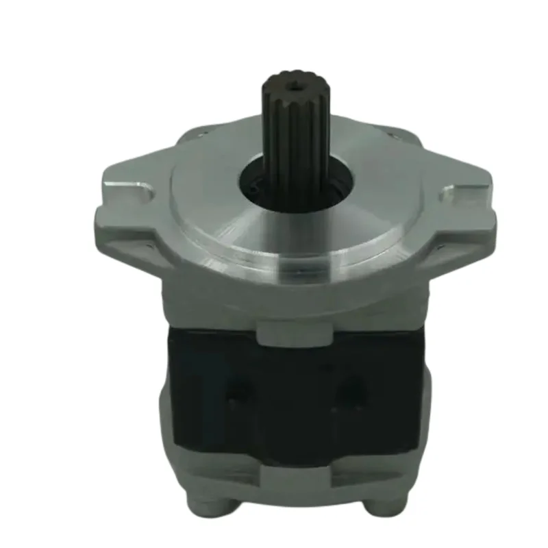 SGP2 SGP2A SGP2B SGP2Z Series Cast-Iron Body Gear Pump SGP2B36F1H1-LXXX SGP2B36-R557 SGP1-30 SGP1-30.8 SGP1-31.9