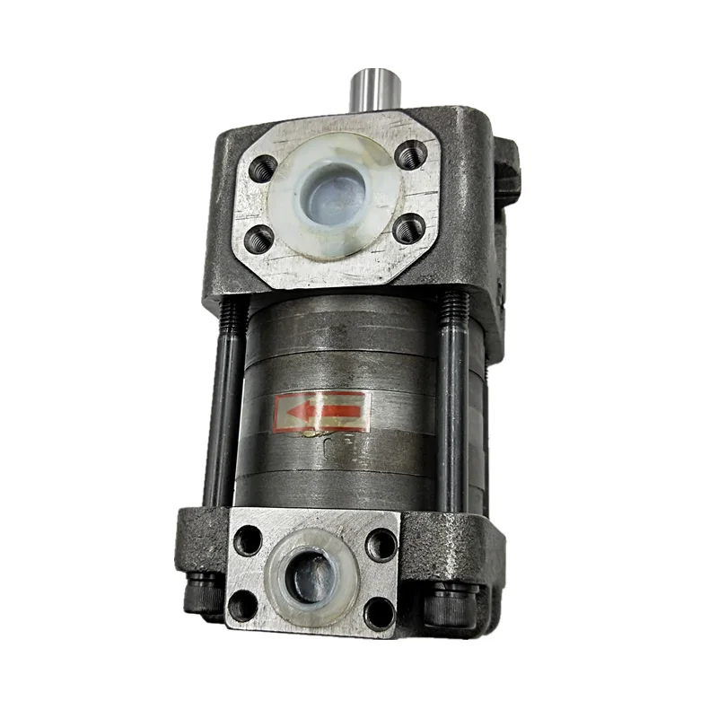 NBZ NBZ2 NBZ3 NBZ2-G10F NBZ2-G12F NBZ2-G16F NBZ3-G20F NBZ3-G25F NBZ3-G32F Internal Gear Pump