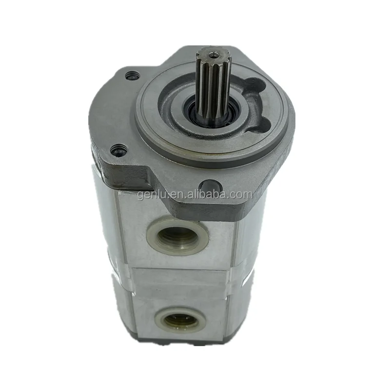 PLP PLP10 PLP20 PLP30 Hydraulic Gear Oil Pump PLP20.11.2D0-31S1-LGD/GD-N-EL FS PLP20.20D0-82E2-LEB/EA-N-EL 03S1-LGE/GD-N-EL