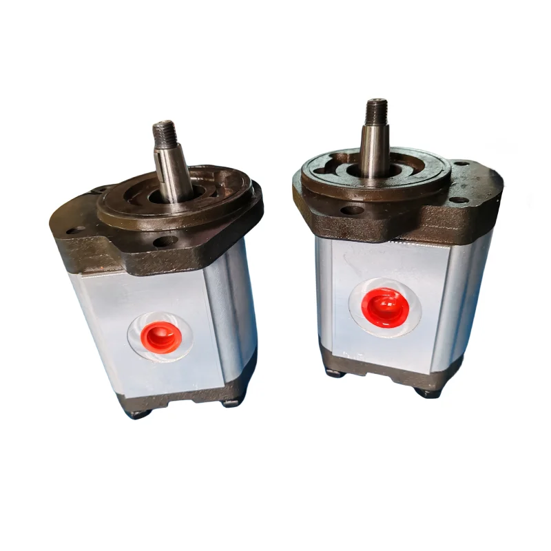 Hydraulic high pressure Gear Pump SNP SNP1NN PRN-022 SNP2NN SKP2NN PRN-022/014R107SLP1F6F5NNF5F4NNNN