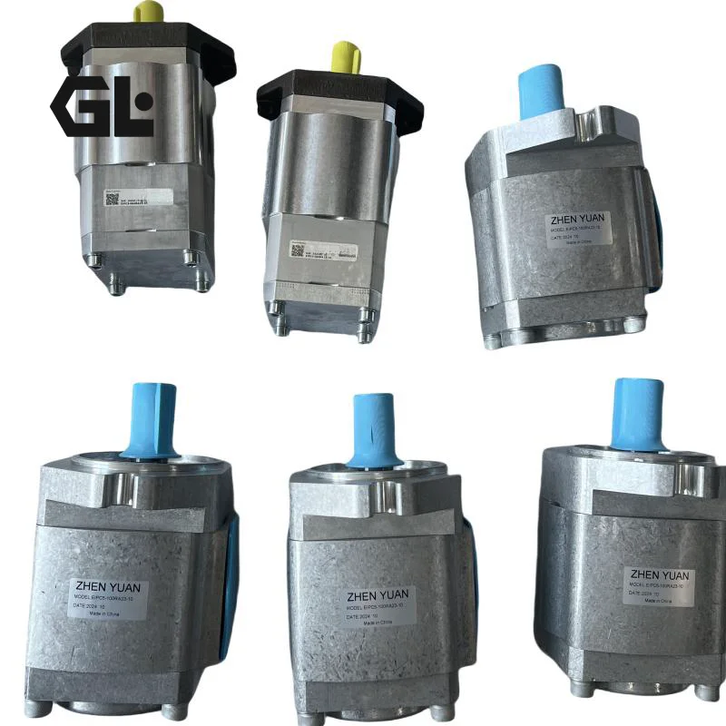 EIPS2/EIPC3/EIPC5/EIPC6 Servo High Pressure Oil Gear Pump EIPS2-005LD34/RB04/RA04/RA34 EIPS2-005RK04-111 EIPS2-005RD34-111