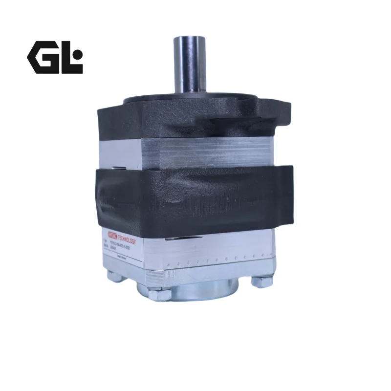 PGI102-2-005RK03-11-6100  High Pressure Hydraulic Servo Gear Pump PGI PGI101 PGI102 PGI103 Series