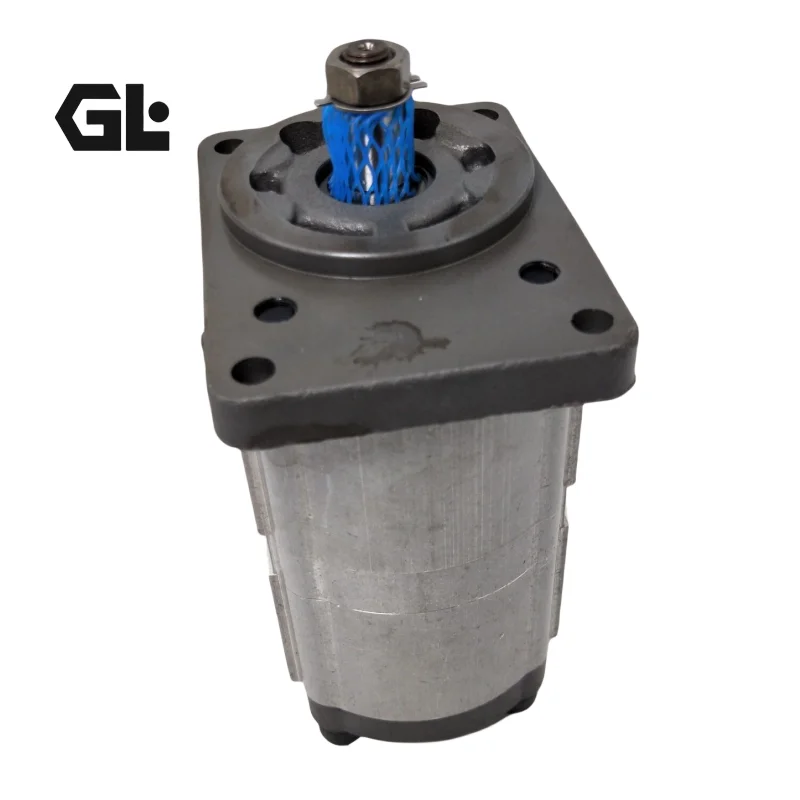 HPLPA HPLPB High Pressure Hydraulic Gear Pump HPLPA114 HPLPA206 HPLPA114HDDG3G3B00 HPLPA206SSPG6G4B00
