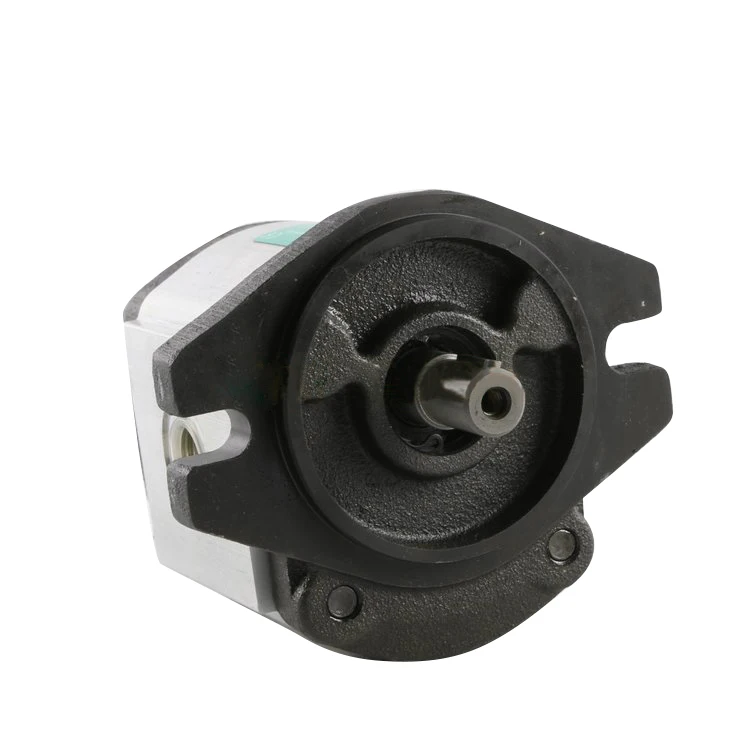 ARGO-HYTOS GP1/GP2/GP3 Series GP2-8R-RECH-SGCGC-N High Pressure Hydraulic External Oil Gear Pump