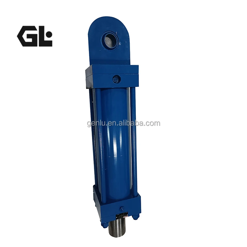 CDT3MP5 CDT3MT1 CDT3ME5 CDT3MT2 CDT3MX2 Hydraulic Cylinder CDT3MT1/100*56/950 Z2X/R11 CDT3MP5/63/28/35Z10/BICHDMWW
